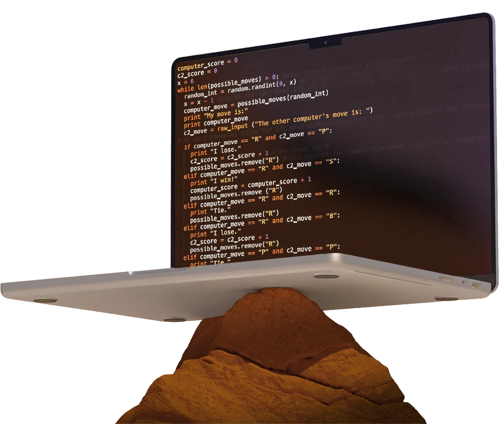 CUSTOM BUSINESS PLATFORMS